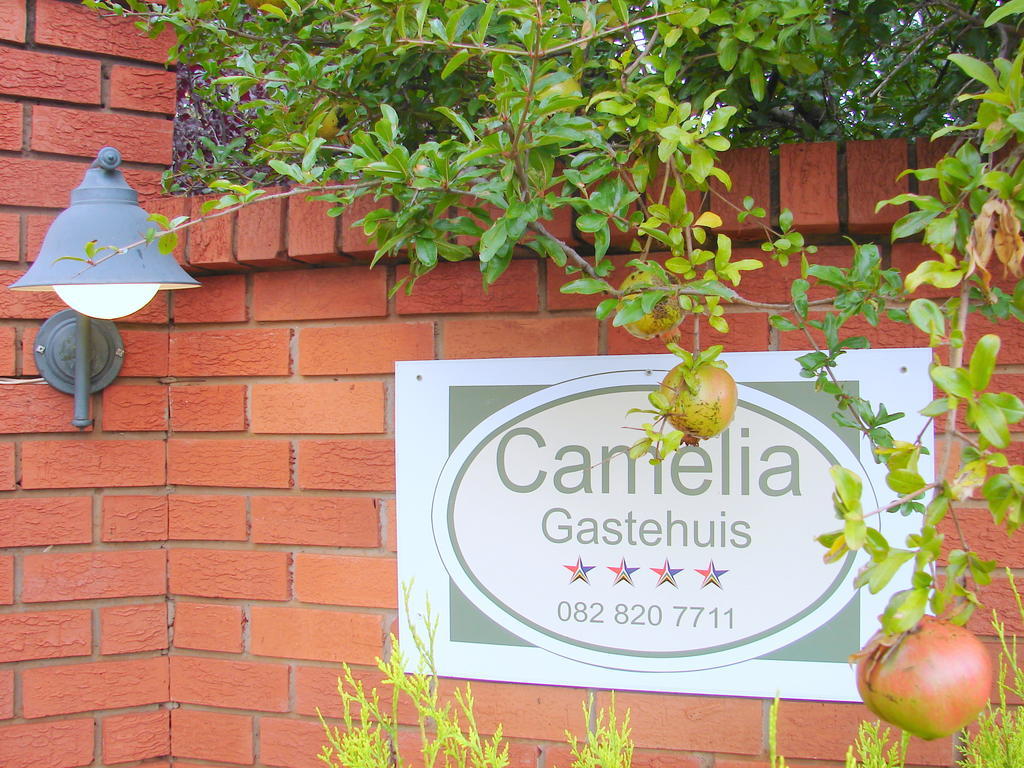 Camelia Guest House Bloemfontein Exteriör bild